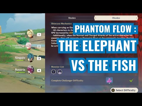 PHANTOM FLOW: THE ELEPHANT VS THE WHALE