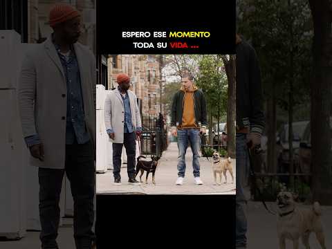 “Cuando llegó el momento🫣” | Los paseos de Bruno | TIKI TIKI (slowed) #shorts