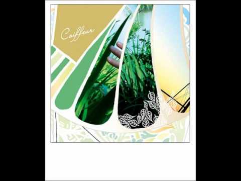 Coiffeur - Cataratas