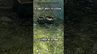 A Great Spot To Catch A Catfish In Skyrim! #fishing #skyrim #skyrimanniversaryedition #shorts