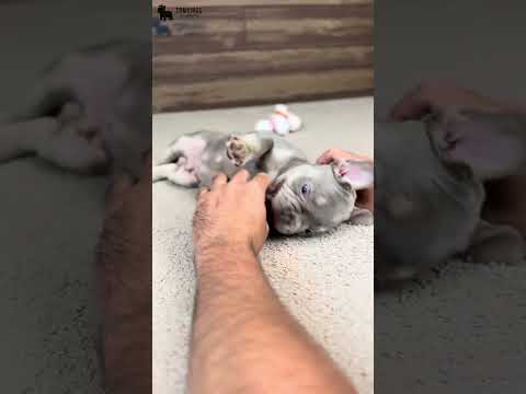 Video 3