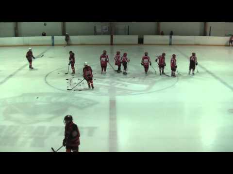 U14 463 Pesterzsébeti HC B - Dunaújvárosi Acélbikák B