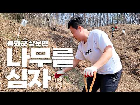 나는 오늘 100그루의 나무를 심을 것이다｜#봉화군 #식목일 나무심기행사