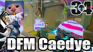 Caedye Jett Abyss APAC RADIANT