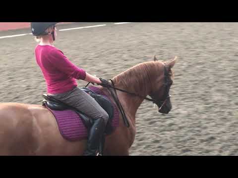 Test training test 2 n23 July 2018