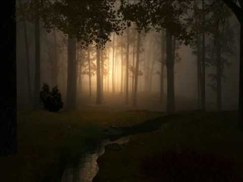 download lagu mp3 mp4 Message To Bears Running Through Woodland, download lagu Message To Bears Running Through Woodland gratis, unduh video klip Message To Bears Running Through Woodland