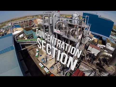 Tomato Processing Line: Guaranteed Quality and Innovation