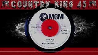 Hank Williams Jr. - After You