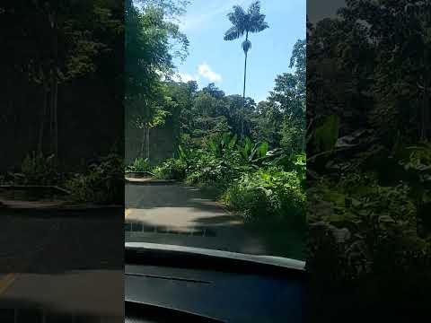 rancho quemado, territorio nasso , Bocas del toro, panama'