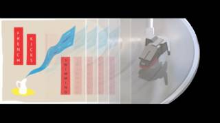 Sex Tourists - French Kicks