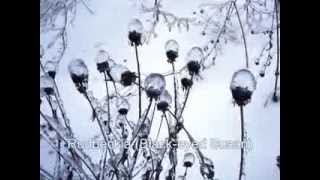 preview picture of video 'Ice Storm 2013 Bolton North Hill'