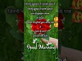 Good Morning Status Trending Good Morning Shayari Status Goodmorning Goodmorningstatus