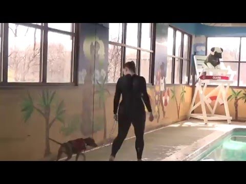 Notorious QT Pi w/ Instructor Talina ~ Intro to the Pool Rm 3-12-16 @ 19 Weeks Old