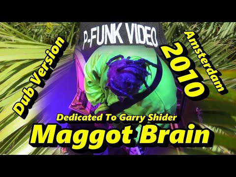 Maggot Brain Dedicated to Garry Shider by Michael Hampton