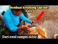 Tutorial Cara Membuat Klontong Sapi Yang Unik Dari Sumbawa