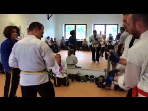 steve zertritt ein brett