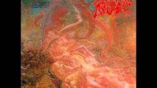 Morbid Angel - Rebel Lands
