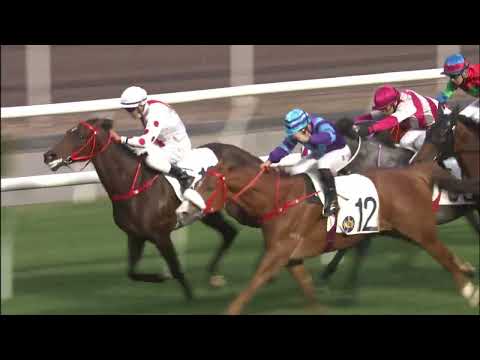 3/2/2022 (395) Charity Go -  Matthew Poon