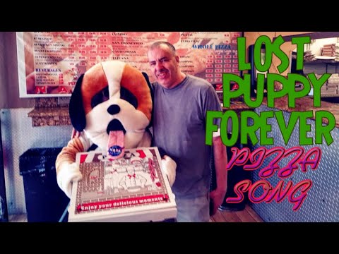 Lost Puppy Forever video