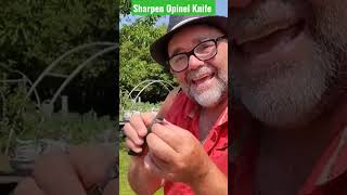 Download lagu Crazy Sharp Opinel Knife mp3