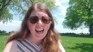 Renee Remains The Same (Material Issue cover)