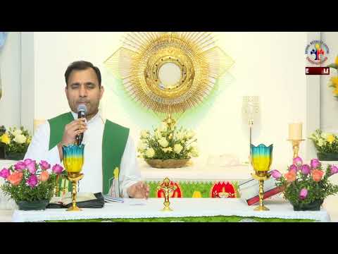 Dewfall 26   Are you worried about wealth？