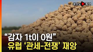 [여의도튜브] "감자 1t이 0원" 유럽 '관세-전쟁' 재앙 / 머니투데이방송