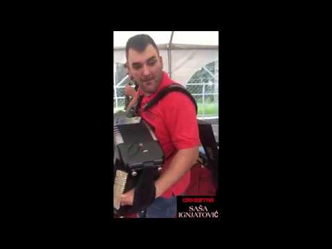 Momacko Vece 2019   Orkestar Sase Ignjatovica i Zijada MIX