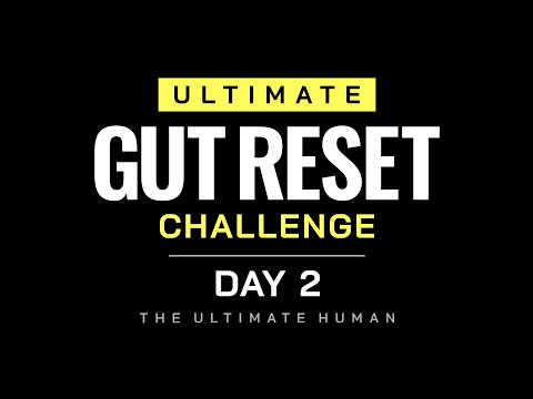 Ultimate Gut Reset Challenge with Gary Brecka | The Ultimate Human | Day 2