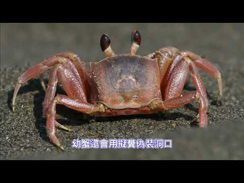 ☺ 圖片待補 ☺