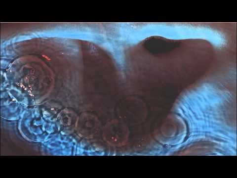 Pink Floyd -  Echoes (Shortened Version)