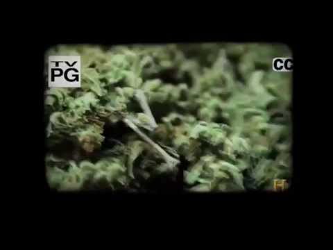 Sepulturero - Así Soy, ¿Y Qué? Ft. Gogo Ras & Bodka 37