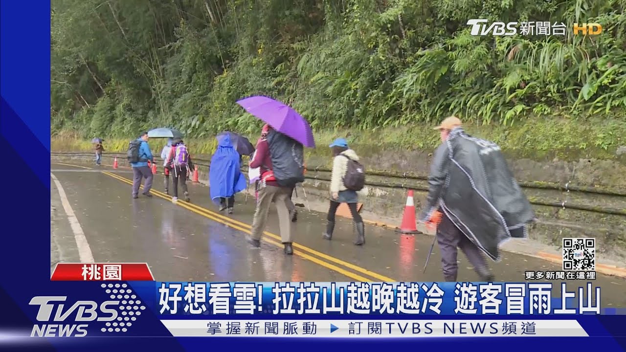 好想看雪!拉拉山越晚越冷 遊客冒雨上山