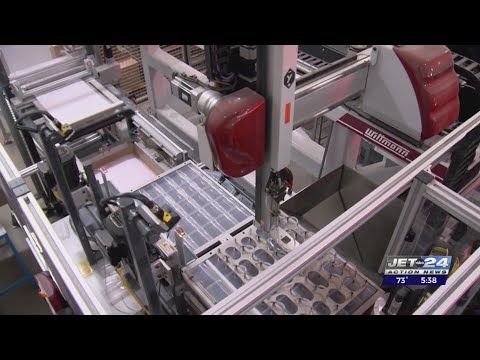 Skilled Workforce: Career opportunities at The Plastek Group