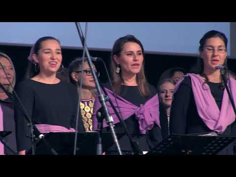 Sanoborske ciklame - Vokalni ansambl Samoborke i gosti