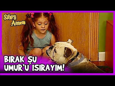 Taci, Umur'u Isırma Peşinde! - Sihirli Annem 21. Bölüm