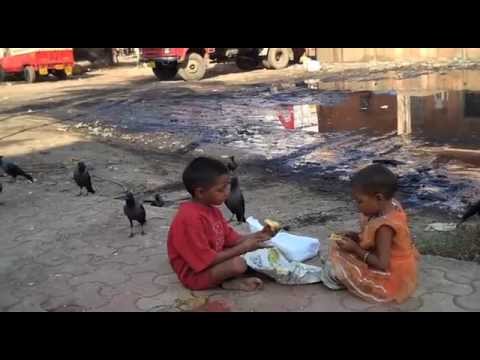 Active Compassion: Our Role for a Better World