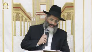 סוד היציאה מכל הייסורים- מסכת אבות, סדרת קנייני תורה, קניין א', בתלמוד- הרב ישראל אברג'ל שליט"א