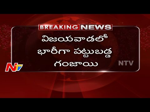 Police busted Illegal Ganja Mafia in Vijayawada | NTV