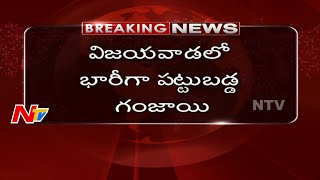 Police busted Illegal Ganja Mafia in Vijayawada | NTV