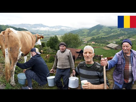 Oamenii munților din satele din Bucovina! Lecții de viață și o cazare unică în România