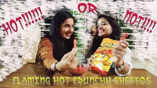 INDIAN GIRLS TRYING FLAMING HOT CHEETOS FOR THE FIRST TIME || First Impression