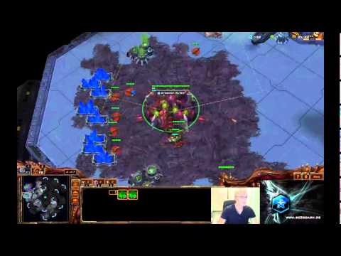 sc2coach - 1vs1 von Bronze bis Master mit Zerg (NA) #25