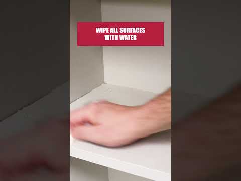 The Quick Guide to Flour Beetles [DIY Pantry Pest Control]