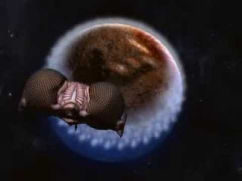 Lexx S2 E11