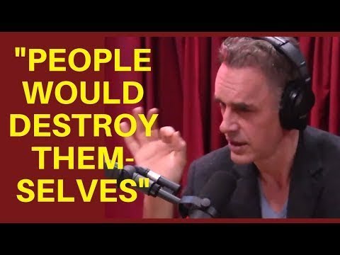 Universal Basic Income (UBI) - Dr. Jordan Peterson's Take
