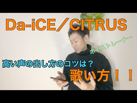 シトラスについて詳しく解説