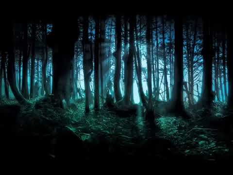 frederic chopinthe mysterious forest 1 hour version