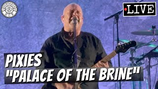 Pixies &quot;Palace of the Brine&quot; LIVE
