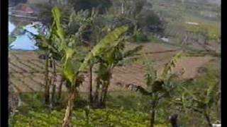 Download lagu 05 ULAH CEURIK-POP SUNDA mp3 Download lagu 05 ULAH CEURIK-POP SUNDA mp3